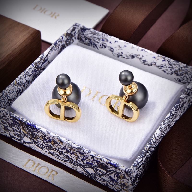 Christian Dior Earrings